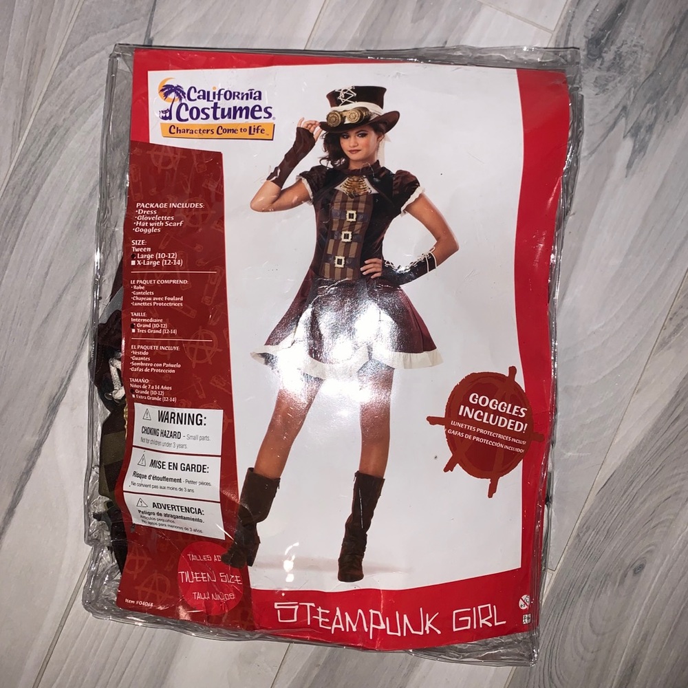SteamPunk Girl Halloween Costume